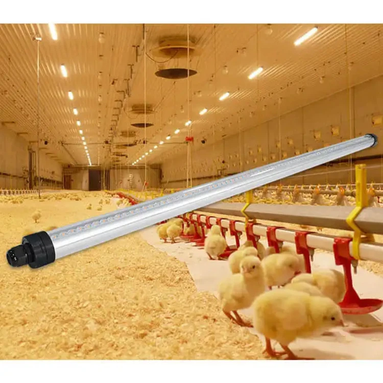 IP69K Waterproof pig house Chicken Tube Light