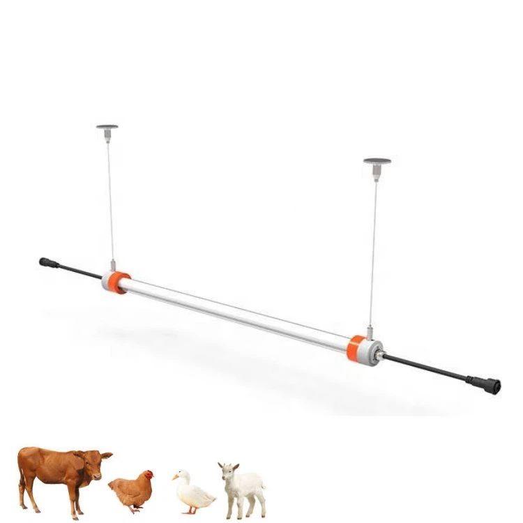 12v Poultry Teeb pom kev zoo