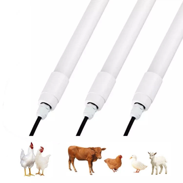 Led Lights For Poultry House