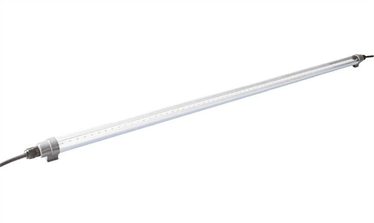 LED Poultry Lights