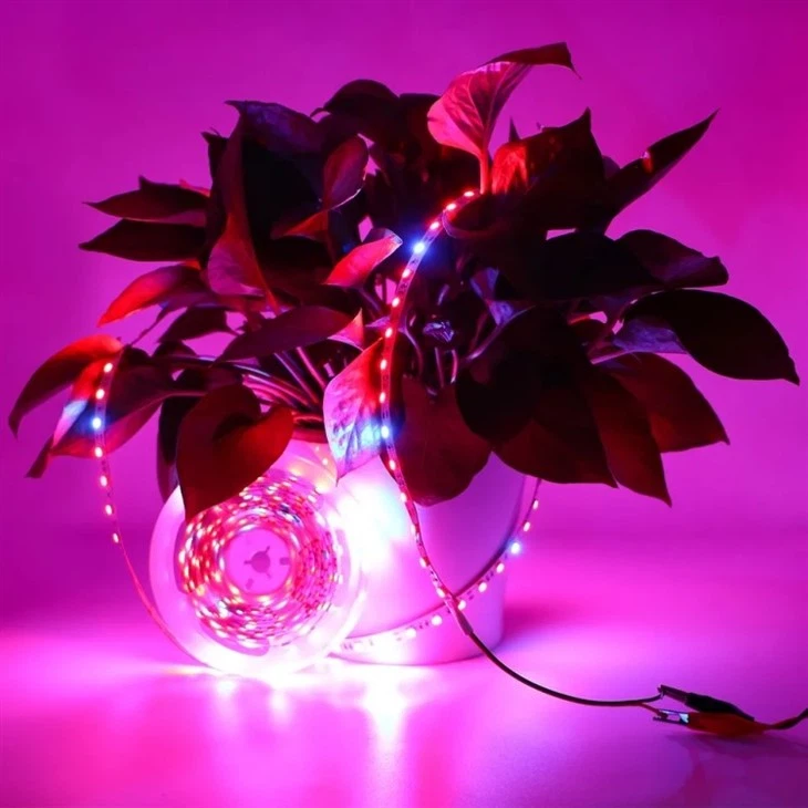 smart multicolor led light strip