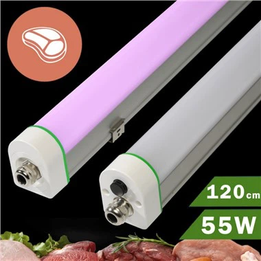 120CM PURPLE LIGHT/FLESH