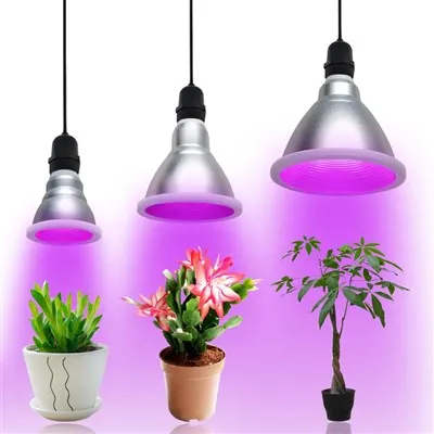 12W PAR38 LED Loj hlob teeb