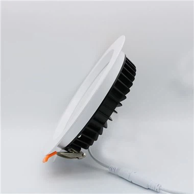 Chav dej Led Downlights