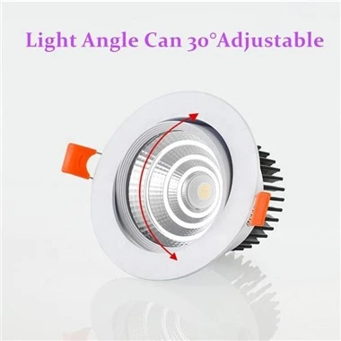 Downlights Nrog Hloov Qhov Muag