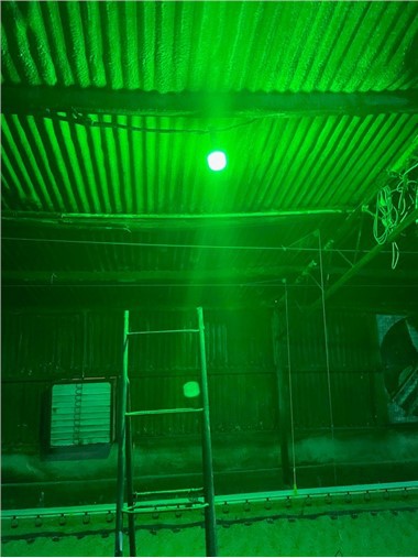 E27 IP65 LED Dimmable Noob