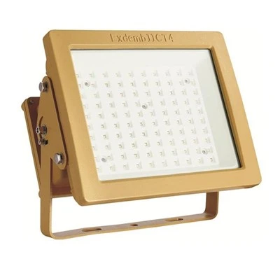 Kev tawg pov thawj LED Floodlights