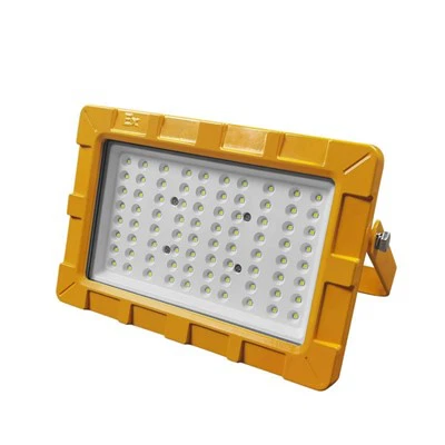 Explosion Proof Light
