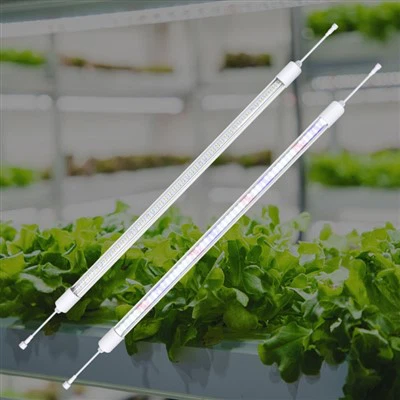 Tsev cog khoom teeb rau lub caij ntuj no