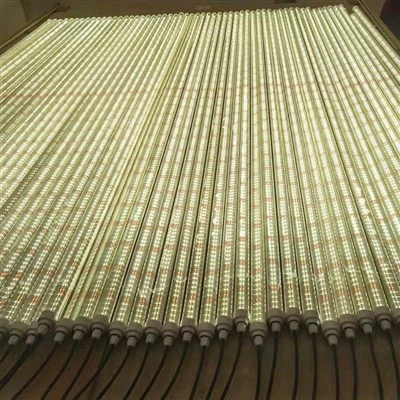 Loj hlob teeb rau noob pib