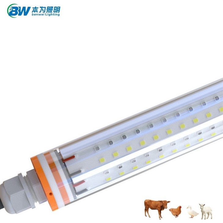 120cm Chicken Light 0-10V Dimmable