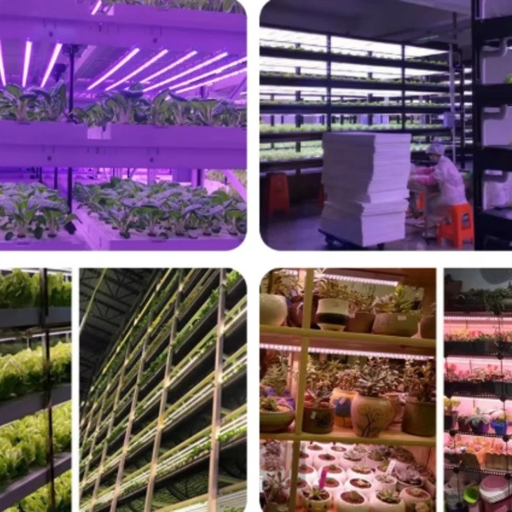 28W T8 LED Tube Waterproof Plant Grow Light price