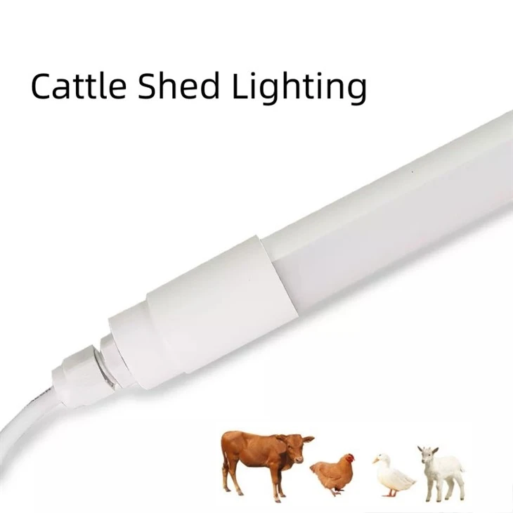 Chicken Light With 0-10V Waterproof Ip67