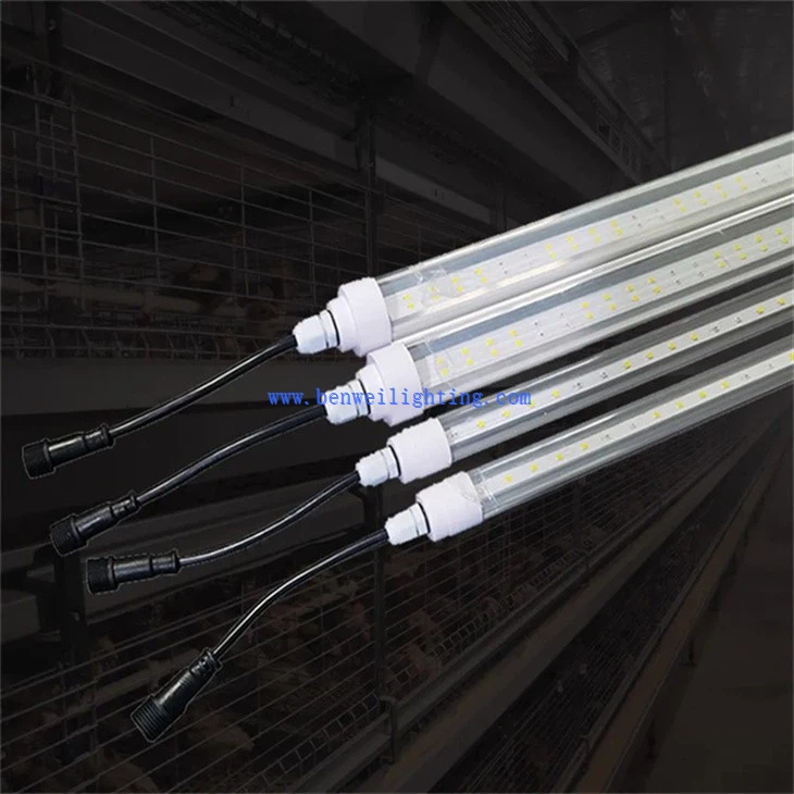 Chick Rearing Light (5)