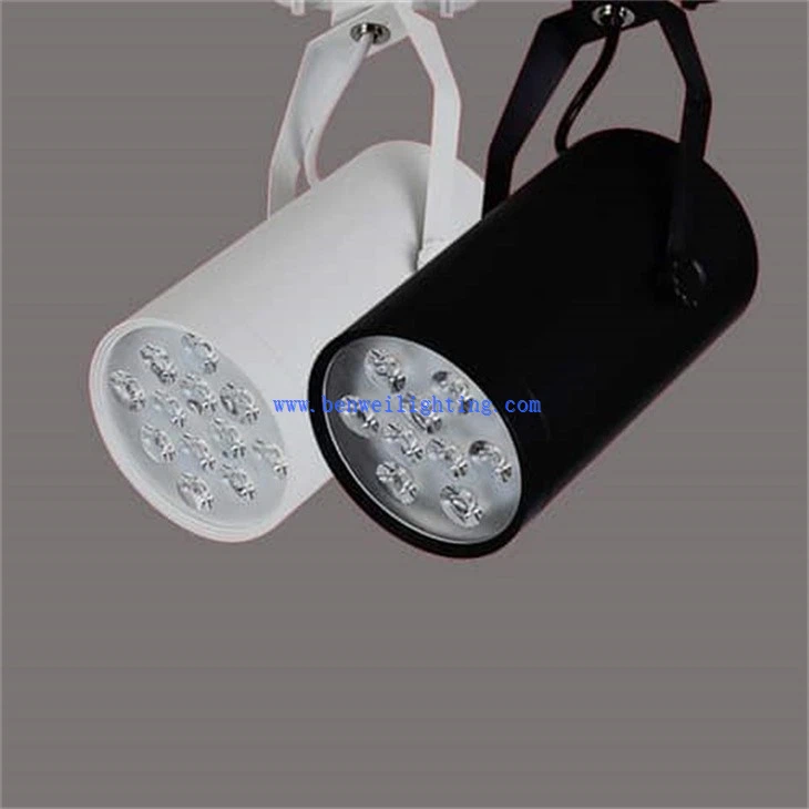 Directional Track Light