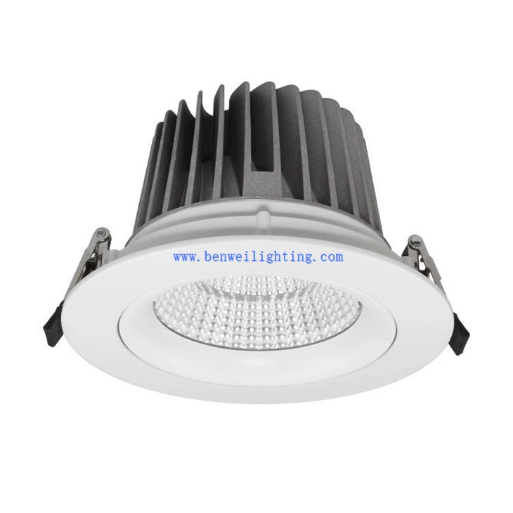 ceiling downlights white