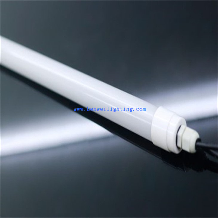 Farmyard Poultry Light (1)