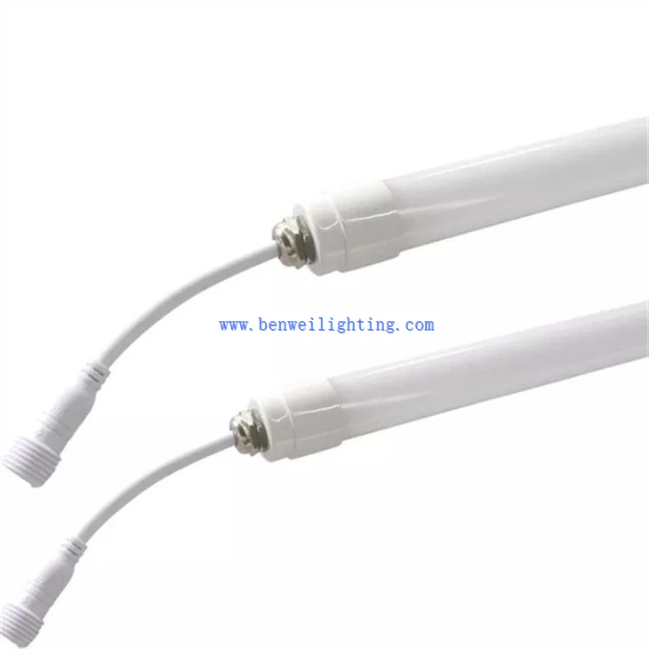 Integrated Poultry Lamp LED (2)