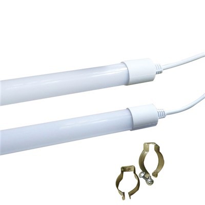 Poultry Brooder Teeb