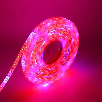 Rgb Led Sawb Lub Teeb Nrog Chaw Taws Teeb