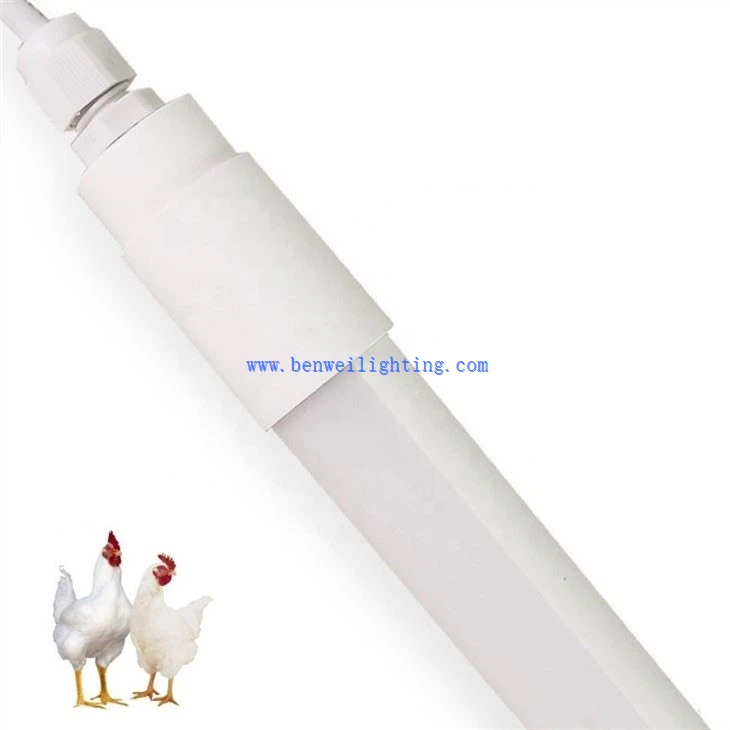 battery operated chicken coop light