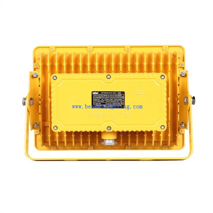 Underground explosion-proof light (4)