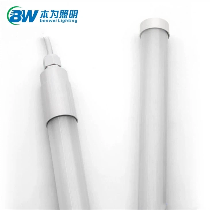 Warm Light Poultry Led Lighting